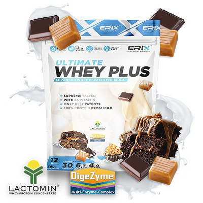 Whey Plus Ultimate 500 GR