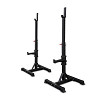 Squat rack portatil ikex
